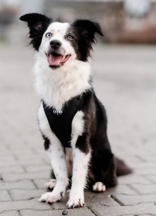 CHABA Szelki Guard Comfort Classic M czarne