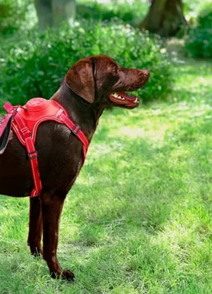 Zolux Szelki ze smyczą automatyczną Easyride L czerwone