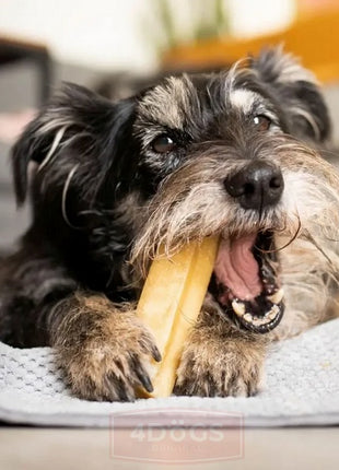 4DOGS Gryzak z sera himalajskiego Churpi Original S