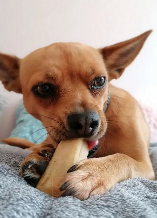 4DOGS Gryzak z sera himalajskiego Churpi Original XXL