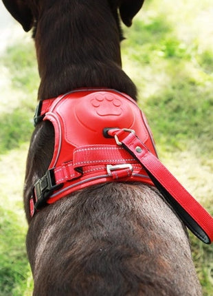 Zolux Szelki ze smyczą automatyczną Easyride XS czerwone