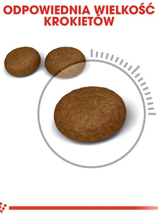 Royal Canin Hair&Skin Care karma sucha dla kotów dorosłych, lśniąca sierść i zdrowa skóra 4kg