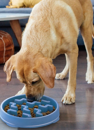 Outward Hound Fun Feeder Miska spowalniająca niebieska [67831]