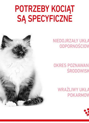 Royal Canin Kitten karma sucha dla kociąt od 4 do 12 miesiąca życia 4kg