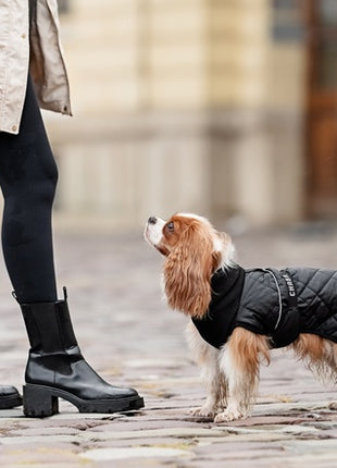 Chaba Kubrak Regulowany Chic XL black