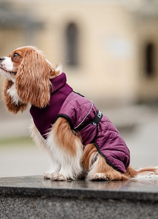 Chaba Kubrak Regulowany Chic L burgundy