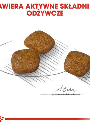 Royal Canin Mini Urinary Care karma sucha dla psów dorosłych, ras małych, ochrona dolnych dróg moczowych 1kg