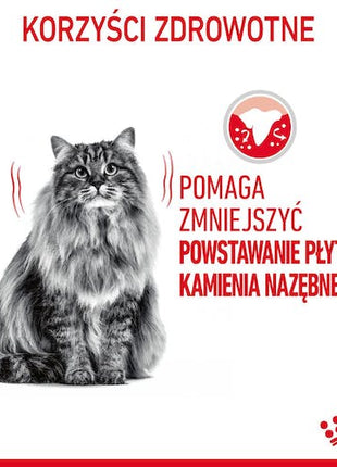 Royal Canin Dental Care karma sucha dla kotów dorosłych, redukująca odkładanie kamienia nazębnego 400g