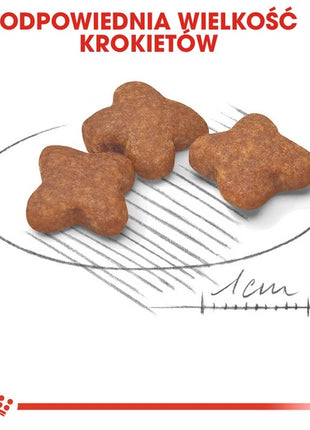 Royal Canin Mini Adult 8+ karma sucha dla psów starszych od 8 do 12 roku życia, ras małych 800g