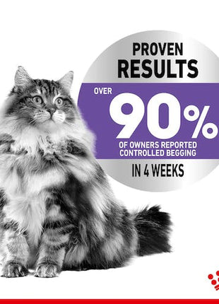 Royal Canin Appetite Control Care karma mokra w galaretce dla kotów dorosłych, domagających się jedzenia saszetka 85g