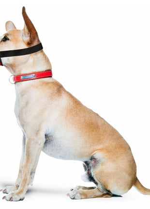 Grande Finale Kaganiec dla psa standard rozmiar 4 (22-30cm)