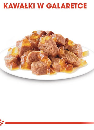 Royal Canin Instinctive w galaretce karma mokra dla kotów dorosłych, wybrednych saszetka 85g