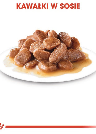 Royal Canin Ageing +12 karma mokra w sosie dla kotów dojrzałych saszetka 85g