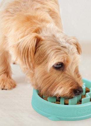 Outward Hound Fun Feeder Tiny (XS) Miska spowalniająca miętowa [67829]