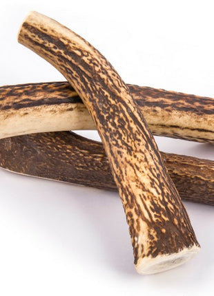 4DOGS Gryzak z poroża S hard