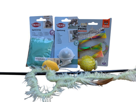 Fidello Fun Package for Cats &amp; Kittens - Play, challenge and entertainment all in one.