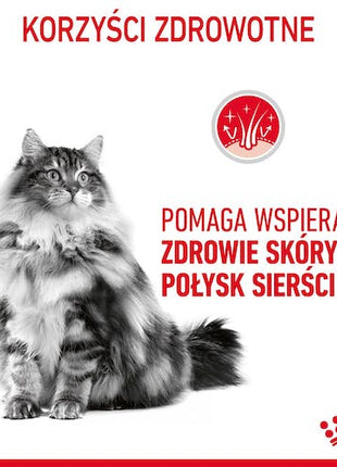 Royal Canin Hair & Skin Care karma mokra w galaretce dla kotów dorosłych, lśniąca sierść i zdrowa skóra saszetka 85g