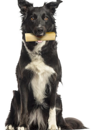 Zolux Przysmak serowa kość z sera himalajskiego M 57g [482311]