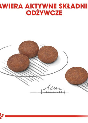 Royal Canin Mini Digestive Care karma sucha dla psów dorosłych, ras małych o wrażliwym przewodzie pokarmowym 1kg