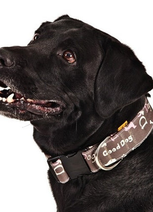 Dingo Obroża regulowana America Nevada 3,0cm/60cm