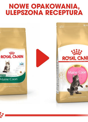 Royal Canin Maine Coon Kitten karma sucha dla kociąt, do 15 miesiąca, rasy maine coon 2kg