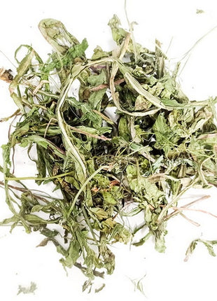 Wio-Mar Mniszek lekarski 150g