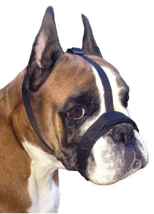 Grande Finale Kaganiec dla psa pekińczyk rozmiar 2 (15-24cm)