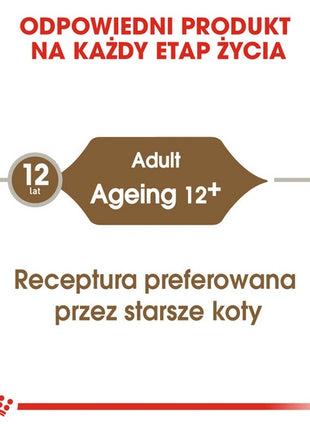 Royal Canin Ageing +12 karma mokra w galaretce dla kotów dojrzałych saszetka 85g