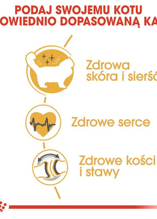 Royal Canin Ragdoll Adult karma sucha dla kotów dorosłych rasy ragdoll 400g