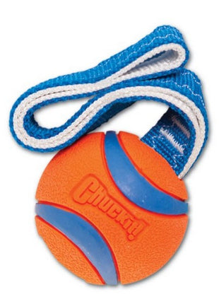 Chuckit! Ultra Tug Medium [231201]
