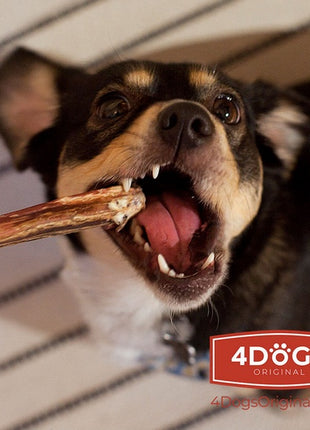 4DOGS Gryzak z penisa wołowego S