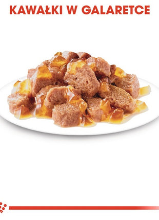 Royal Canin Ageing +12 karma mokra w galaretce dla kotów dojrzałych saszetka 85g