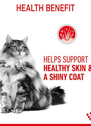Royal Canin Hair&Skin Care karma sucha dla kotów dorosłych, lśniąca sierść i zdrowa skóra 400g