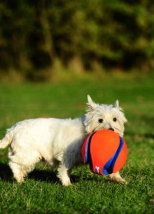 Chuckit! Kick Fetch Large [251201]