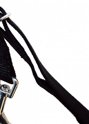 Trixie Szelki samochodowe dla psa S [1290]