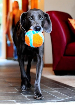 Chuckit! Indoor Ball [213201]