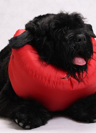 Grande Finale Kołnierz pooperacyjny rozmiar 4 [WET/K/4]