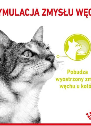 Royal Canin Sensory Smell w sosie karma mokra dla kotów dorosłych saszetka 85g
