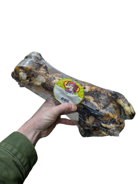 Petsnack Dinobot Packaged - 100% natural chew bone of approx. 30 cm