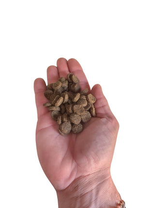 Acana Classic Red Dry Dog Food - Complete food with lamb, beef and pork - 2 kg, 9.7 kg, 14.5 kg