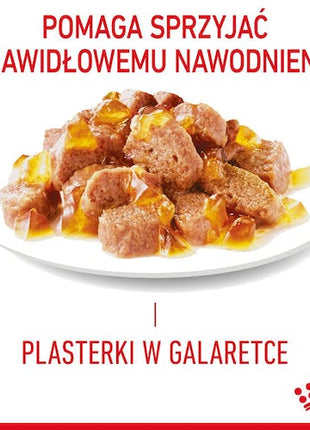 Royal Canin Hair & Skin Care karma mokra w galaretce dla kotów dorosłych, lśniąca sierść i zdrowa skóra saszetka 85g