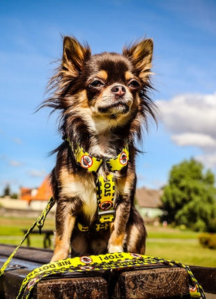 Dingo Szelki dwupaskowe Guard City - Nie Dotykaj rozmiar L