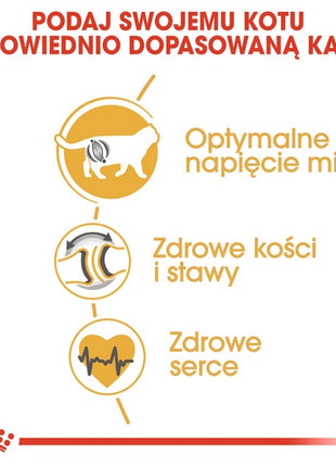 Royal Canin British Shorthair Adult karma sucha dla kotów dorosłych rasy brytyjski krótkowłosy 2kg