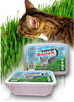 Super Benek Trawka szybkorosnąca dla kota 150g