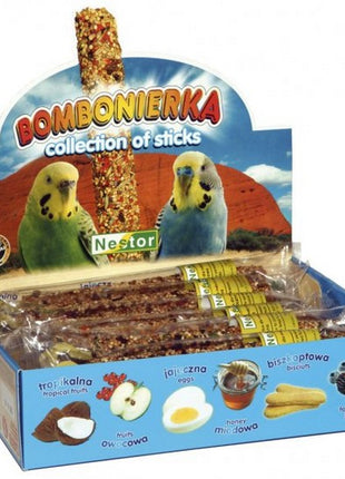 Nestor Bombonierka dla małych papug