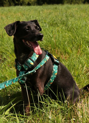 Dingo Smycz przepinana City - Monstera 2x220cm