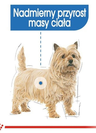 Royal Canin Light Weight Care karma mokra dla psów dorosłych, wszystkich ras z tendencją do nadwagi saszetka 85g
