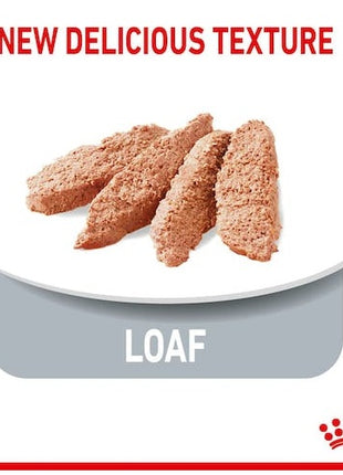 Royal Canin Ultra Light pasztet karma mokra dla kotów dorosłych, z tendencją do nadwagi saszetka 85g