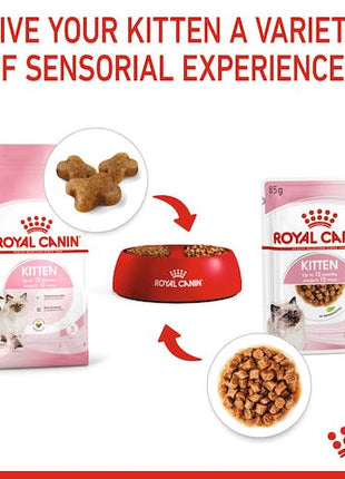 Royal Canin Kitten w galaretce karma mokra dla kociąt do 12 miesiąca życia saszetka 85g