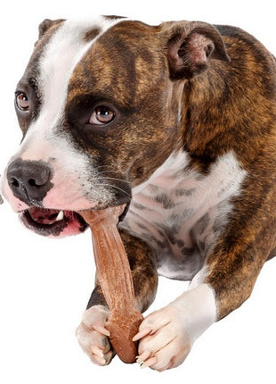 Ferplast GoodBite Natural SinglePack Wołowina 1szt S 40g